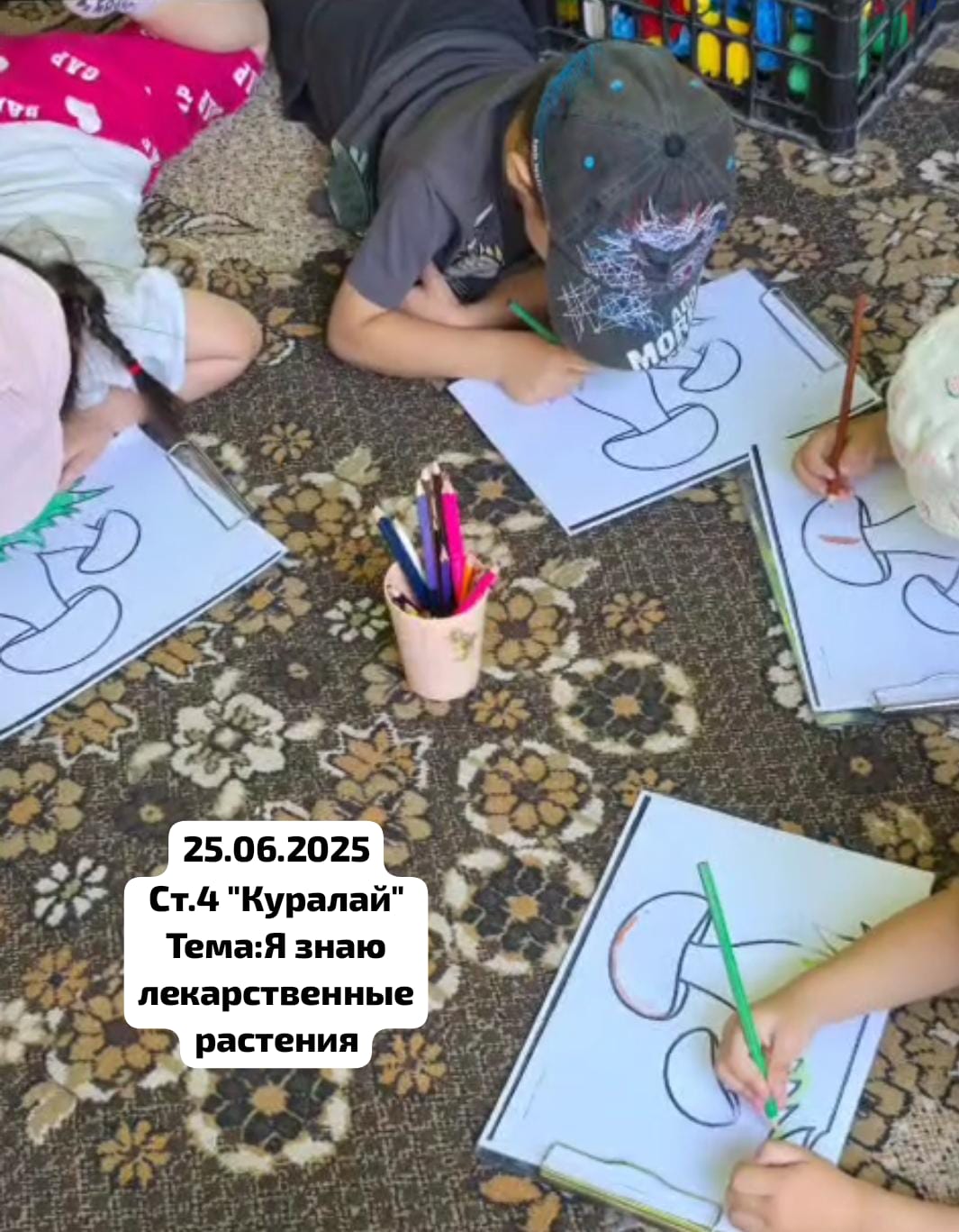 Я знаю лекарственные растения.